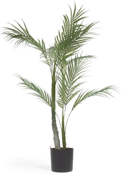 Palmera, Artificial plant, black, H70x70x60 cm