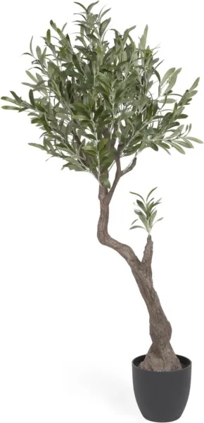 Olivo, Artificial plant, black, H140x55x50 cm