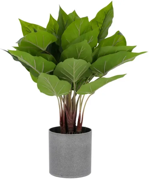 Anthurium, Artificial plant, green/grey, K50x40x40 cm