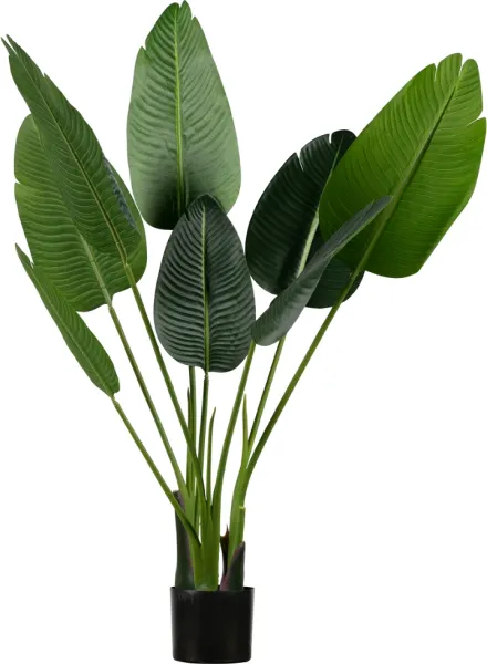 Strelitzia, Artificial plant, green, H108x61x50 cm