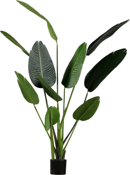 Strelitzia, Artificial plant, green, H164x96x63 cm