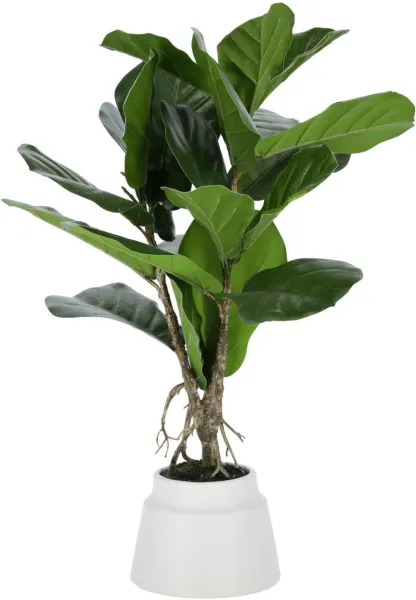 Lyrata, Artificial plant, green/white, H60x30x30 cm